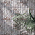 Elegant Print Eco Friendly Non Woven Wallpaper - WP524A