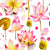Elegant Floral Print Room Darkening Curtains- Set of 2 - DS6A